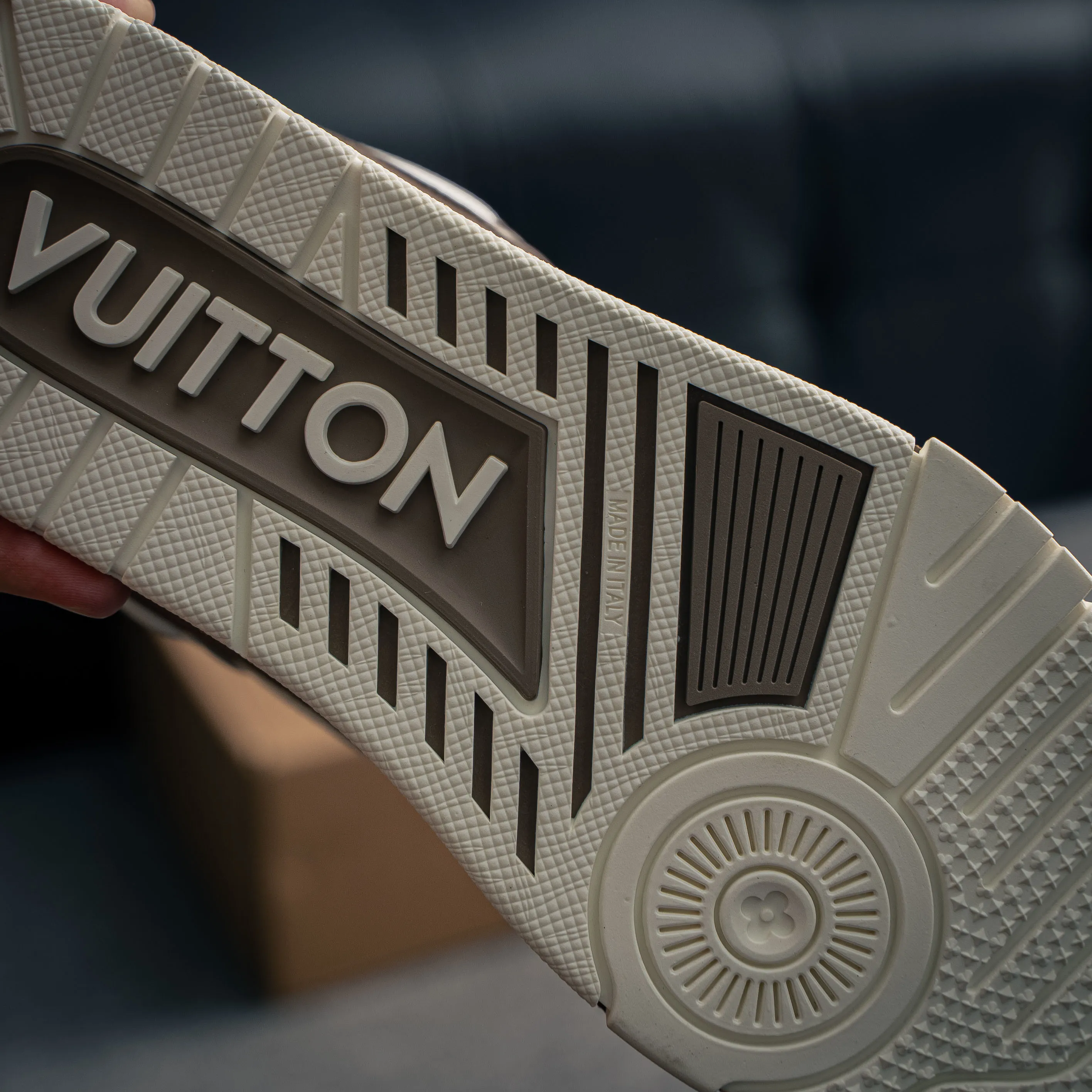 Louis Vuitton Trainer lv Sneakers Shoes Shoes